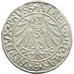 Lenne Prusy Książęce, Albrecht Hohenzollern, Grosz 1539, Królewiec, piękny