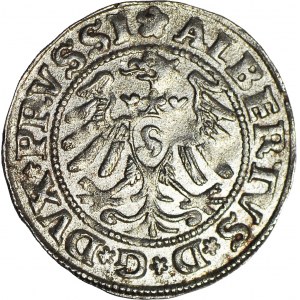 Lenne Prusy Książęce, Albrecht Hohenzollern, Szeląg 1531, Królewiec, piękny