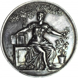 RRR-, Medal 1898, Srebro, Jubileuszowa Wystawa we Lwowie, NIENOTOWANY