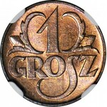 1 penny 1923, mint, color RB