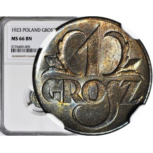 1 penny 1923, mint, BN color