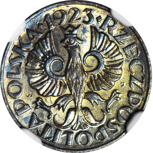 1 Pfennig 1923, postfrisch, Farbe BN