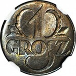 1 grosz 1923, menniczy, kolor BN