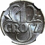 1 grosz 1923, menniczy, kolor BN