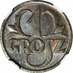 1 grosz 1928, menniczy, kolor BN