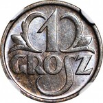 1 grosz 1936, menniczy, kolor BN