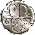 1 grosz 1937, menniczy, kolor BN