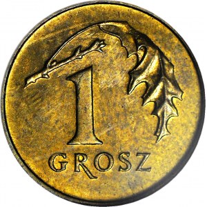 R-, 1 Grosz 2004, menniczy, destrukt, ODWROTKA 180 stopni