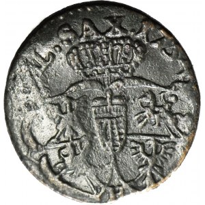 August III Sas, Szeląg 1754 H, wariant z broszą