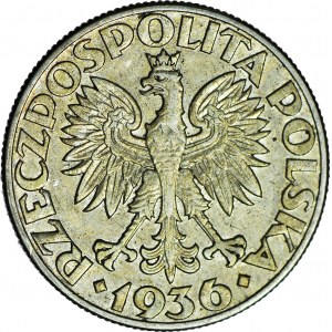 5 złotych 1936 Żaglowiec