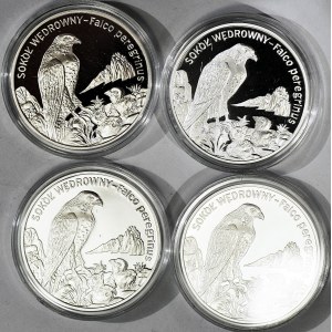 Zestaw 4 szt. 20 złotych 2008, Sokół Wędrowny