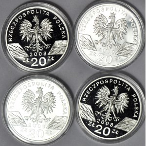 Zestaw 4 szt. 20 złotych 2008, Sokół Wędrowny