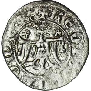 RR-, Kazimierz III Wielki 1333-1370, Kwartnik duży (Półgrosz) Kraków, rozetki KOKARDKI, niesymetryczny tron skrzyniowy