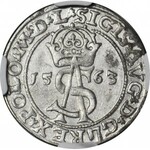 Zygmunt II August, Trojak 1563, Wilno, menniczy