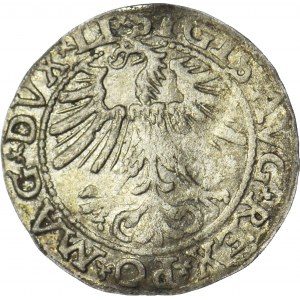 Zygmunt II August, Półgrosz 1563, Wilno, LI/LITV