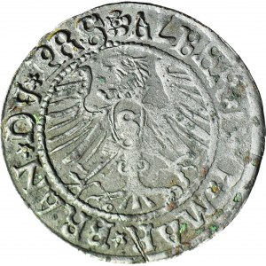 RR-, Lenne Prusy Książęce, Albrecht Hohenzollern, Grosz 1535, fałszerstwo z epoki w srebrze