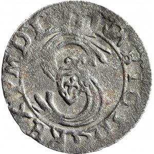 R-, Zygmunt III Waza, Ternar 1624, Łobżenica, R3