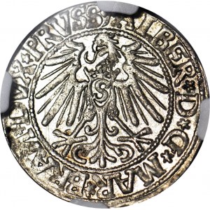 Lenne Prusy Książęce, Albrecht Hohenzollern, Grosz 1544, Królewiec, broda szpiczasta, WYŚMIENITY