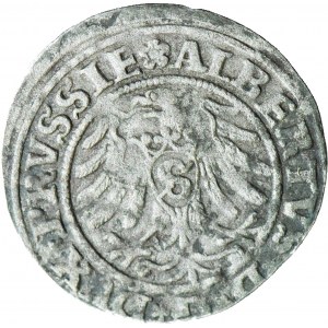 Lenne Prusy Książęce, Albrecht Hohenzollern, Szeląg 1531, Królewiec