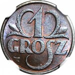 1 grosz 1931, menniczy, kolor BN