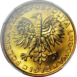 2 złote 1975, WYŚMIENITE