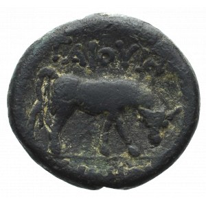 Macedonia as Roman Province, District Bottaia, Gaius Publius quaestor, Ae