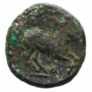 Macedonia, Filip II, Brąz 359-336 p.n.e