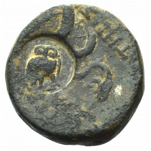 Pergamon, Brąz - rzadkość kontrmarka Koinonu