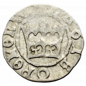 John I Olbracht, Halfgroat without date, Cracow