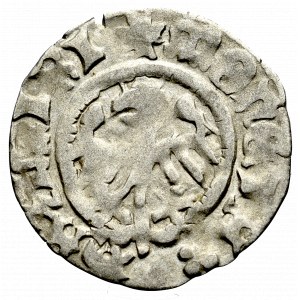 Casimir IV the Jagellon, Halfgroat without date, Cracow