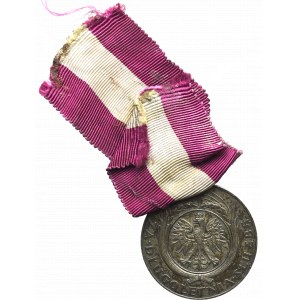 II RP, Medal za XX lat służby