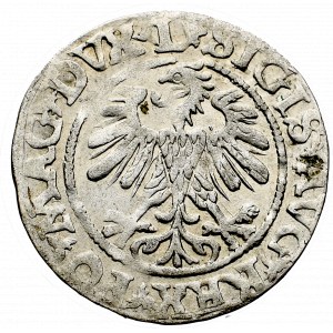 Sigismund II Augustus, Halgroat 1560, Vilnius - L/LITV