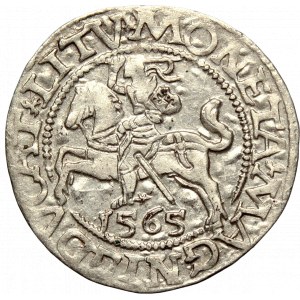 Sigismund II Augustus, Halfgroat 1565, Vilnius - L/LITV