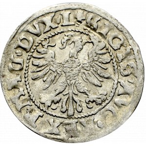 Sigismund II Augustus, Halfgroat 1546, Vilnius - L/LIT