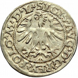 Sigismund II Augustus, Halfgroat 1563, Vilnius - L/LITV