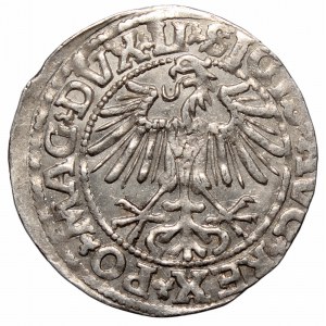 Sigismund II Augustus, Halfgroat 1549, Vilnius - LI/LITVA