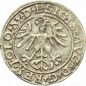 Sigismund II Augustus, Halfgroat 1564, Vilnius - L/LITV