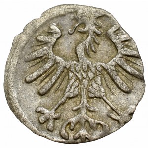 Sigismund II Augustus, Denarius 1555, Vilnius