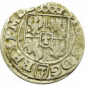 Zygmunt III Waza, Półtorak 1618, Bydgoszcz - ILUSTROWANY Sas w tarczy polskiej/SIGI