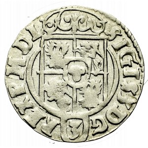 Sigismund III, 1,5 groschen 1624, Bromberg