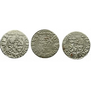 Swedish occupation of Elbing, Lot of 1,5 groschen 1630
