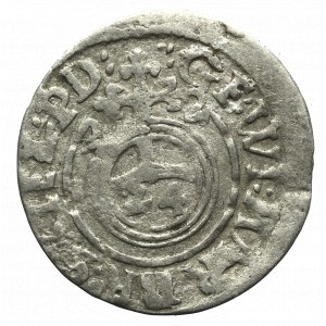 Germany, Preussen, 1,5 groschen 1622, Konigsberg