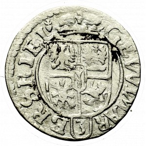 Prusy Książęce, Półtorak 1624, Królewiec - nowy wzór, bez znaku