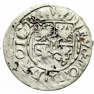 Prusy Książęce, Półtorak 1623, Królewiec