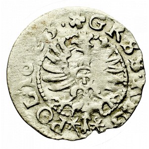 Zygmunt III Waza, Grosz 1623, Bydgoszcz - błąd GR^SS