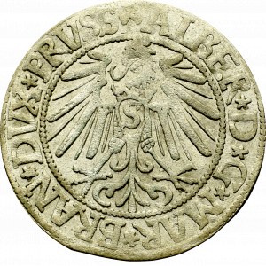 Prusy Książęce, Albreht Hohenzollern, Grosz 1545, Królewiec