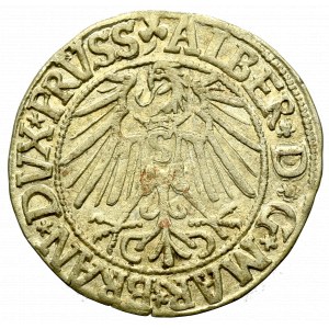 Germany, Preussen, Albrecht Hohenzollern, Groschen 1546, Konigsberg