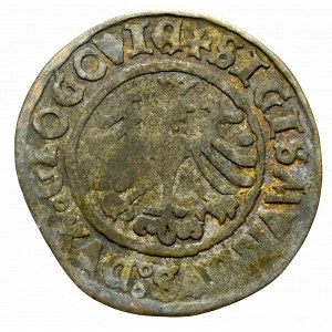 Sigismund I the Old, Groschen 1506, Glogau