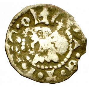 Pommern, Stettin, 1/4 groschen without date