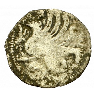 Pommern, Stettin, 1/4 groschen without date